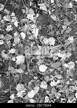 Distress texture with pine, spruce, needles, leaflets and dry grass on the ground in forest. Black and white grunge background. EPS8 vector illustrati Stock Vector