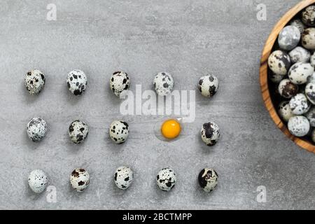 Many quail eggs on gray concrete cement background. One egg broken, orange yolk and protein. Easter cooking concept. Stock Photo