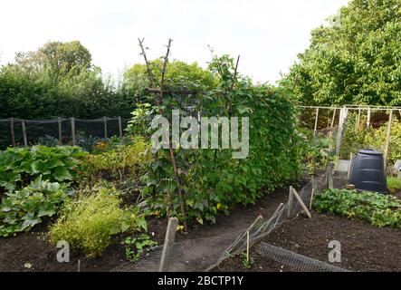 View of the vegetable garden at Monk's House, once the home of Virginia Woolf, Rodmell  East Sussex, UK Stock Photo