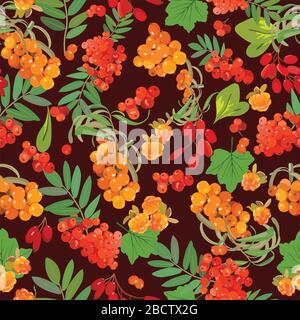 Pattern of sea-buckthorn, mountain ash, cloudberry, barberry. Vector illustration. Stock Vector
