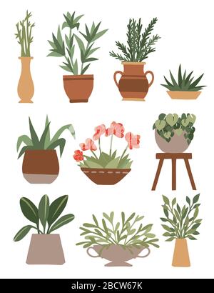 Home decorative and outdoor garden plants in pots set green plants flat vector illustration isolated on white background Stock Vector