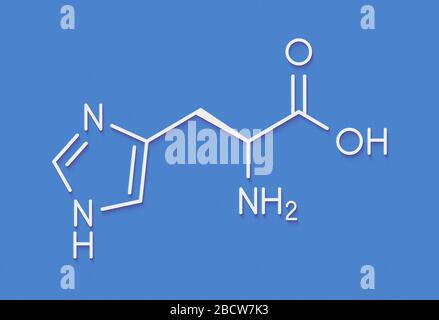 Histidine (l-histidine, his, H) amino acid molecule. Skeletal formula. Stock Photo