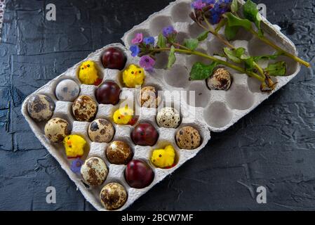 Easter composition of quail eggs and chickens in a cardboard box, decorated with spring flowers. Stock Photo