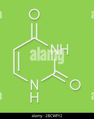 Uracil (U) nucleobase molecule. Present in ribonucleic acid (RNA). Skeletal formula. Stock Photo