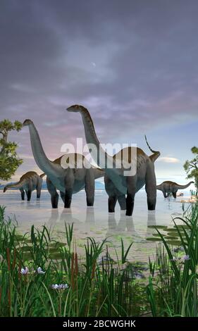 Concept of an Apatosaurus dinosaur herd in shallow water, 3d render Stock Photo