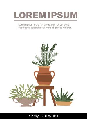 Home decorative and outdoor garden plants in pots set green plants flat vector illustration on white background advertising flyer banner design Stock Vector