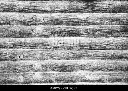 Distress old dry wooden texture. Black and white grunge background. Vector illustration. Stock Vector