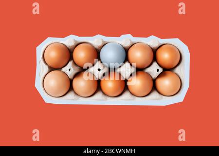 A dozen eggs in a box with one blue egg, top view. Minimalistic art concept. Stock Photo