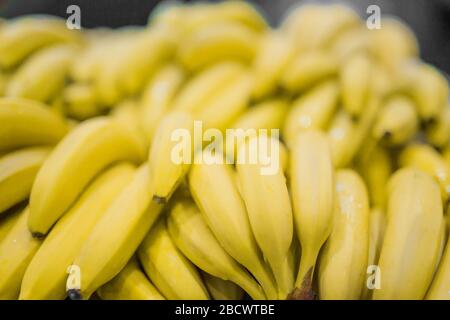 Bunch of yellow bananas in supermarket. Fresh and healthy. Shallow depth of field, focus on the front banana Stock Photo