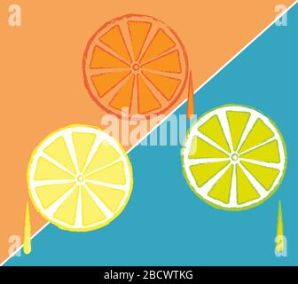 Three citrus fruit slices vector drawing Stock Vector