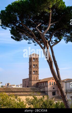 Bell tower of Basilica di Santa Francesca Romana (Santa Maria Nova) church, Roman Forum, Rome, Italy. Stock Photo