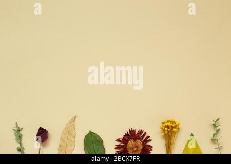 Dry flowers and leaves on beige background. Floral composition, flat lay, top view, copy space Stock Photo