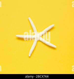 White starfish isolated on yellow background. Summer marine decoration. flat lay, top view, copy space Stock Photo