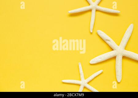 White starfish isolated on yellow background. Summer marine decoration. flat lay, top view, copy space Stock Photo