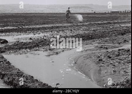 English A Member Of Kibbutz Beit Haarava Tasting The Soil In One Of The Fields Under Reclamation For Agricultural Use O U I O E Ss O E I E O I E I O I U E I E I U I U O I I I E I