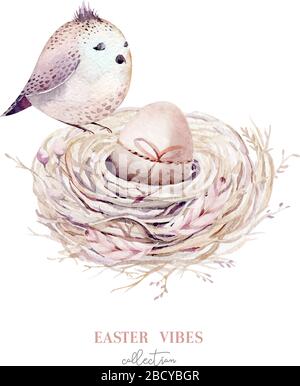 Hand drawn watercolor art bird nest with eggs , easter design. retro style. watercolour isolated illustration on white. natural boho style. Stock Vector