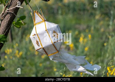 A white oriental lantern hanging on a tree against green meadow with yellow flower. Decoration lamp waving in the wind at the garden. Stock Photo