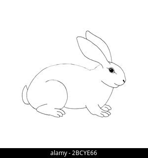 Vector illustration of hand drawing rabbit. Easter symbol. Black and white sketch bunny Stock Vector