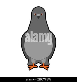 Dove grey Front view isolated. pigeon City bird vector illustration ...