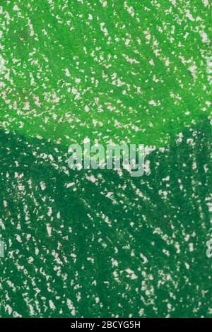green grunge textured abstract background. dark and light green pastel painted surface. Stock Photo