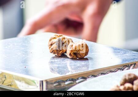 truffle, the taste of the sheets after a night of love Stock Photo