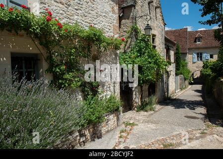 Lavender, Lavandula sp, on street, Saint-Michel-de-Bannières, Lot, Occitanie, France, Europe Stock Photo