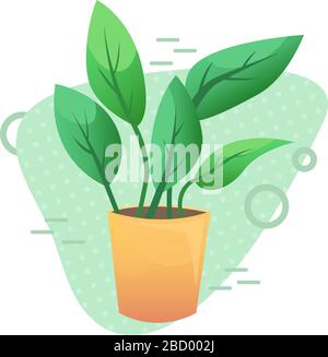 Plant in a bright ceramic pot. Green interior decoration. Vector interior. Stock Vector
