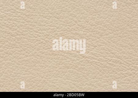 Light leather background with clean surface. Perfect texture for your elegant design. Stock Photo