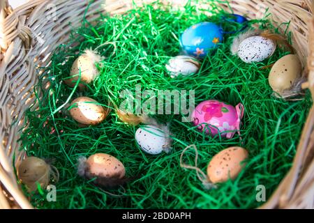 Color Easter eggs in the straw basket with green grass inside in sunny spring day. Stock Photo