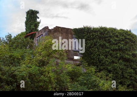 Abandoned, ruined and overgrown buildings, Via Case Rosse, San Canzian d'Isonzo, Friuli Venezia Giulia, Italy Stock Photo