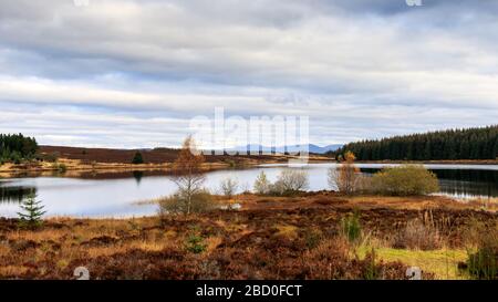 Autumn view over Loch Kinardochy towards the Tay forest Perthshire Scotland Stock Photo