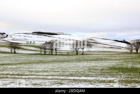 Winter view over snow covered Scottish hillside meadows in Dumfries and Galloway Stock Photo