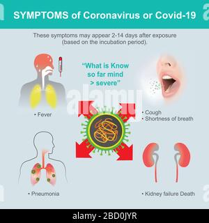 Symptoms of Coronavirus or COVID-19. Illustration health care and medical. Stock Vector