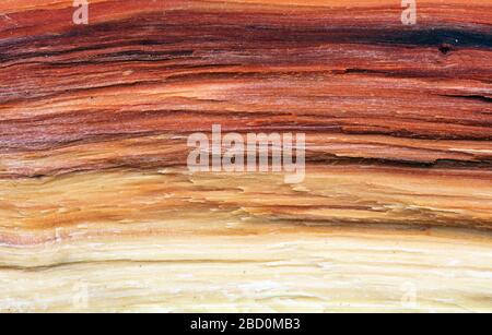 Old wood background Stock Photo