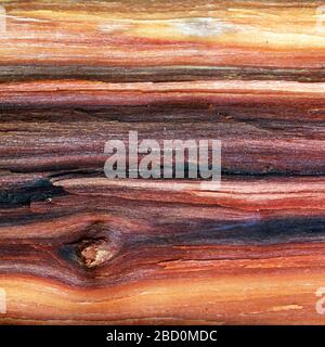 Wood board with light and dark lines Stock Photo
