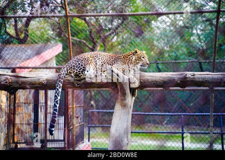 The National Zoological Park is a 176-acre zoo in New Delhi, India