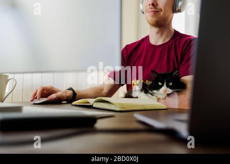 Man working from home with his cat. Using laptop and big computer monitor Stock Photo