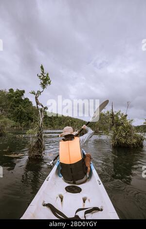 woman kayaker kayaking on river in forest on cloudy day Stock Photo