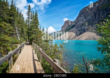 Moraine lake shoreline trail near Lake Louise village in Banff National Park, Alberta, Rocky Mountains, Canada