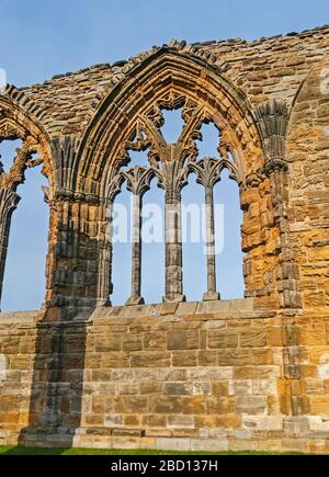 Closeup detail of window remains in an ancient gothic english abbey Stock Photo