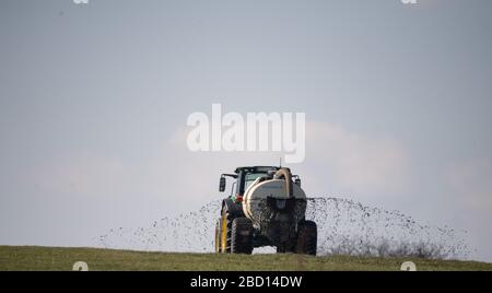 Erkenbrechtsweiler, Germany. 04th Apr, 2020. A farmer fertilizes a meadow. Credit: Sebastian Gollnow/dpa/Alamy Live News Stock Photo