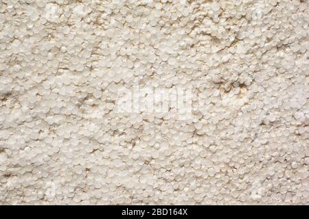 texture of facade dirty white styrofoam background close-up. Stock Photo