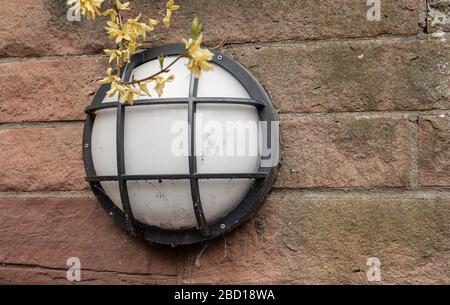 External lighting. White lampshade. Light on the boardwalk. A lamp on a brick wall. Stock Photo