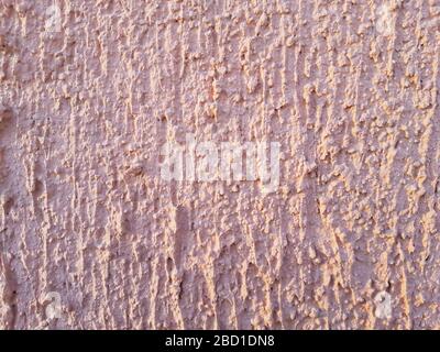 beautiful abstract texture of embossed decorative background with beautiful petals on the wall Stock Photo