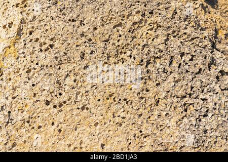 Texture of natural rock shell of rocky rock, marine life structure with limestone and traces of erosion and oxide. Stock Photo