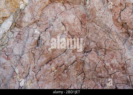 Texture of natural rock shell of rocky rock, marine life structure with limestone and traces of erosion and oxide. Stock Photo