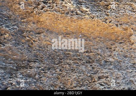Texture of natural rock shell of rocky rock, marine life structure with limestone and traces of erosion and oxide. Stock Photo