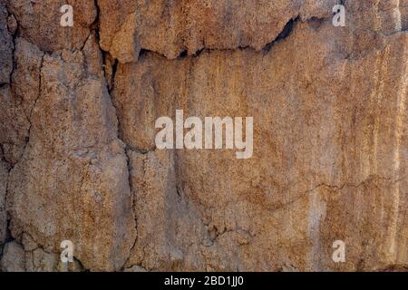 Texture of natural rock shell of rocky rock, marine life structure with limestone and traces of erosion and oxide. Stock Photo