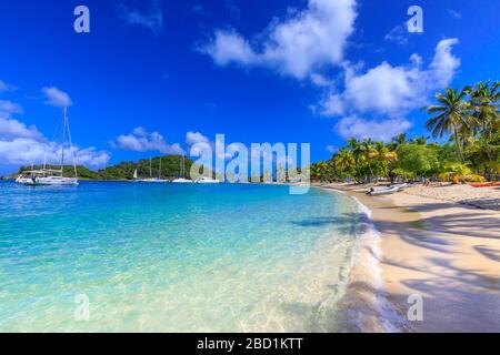 Saltwhistle Bay, white sand beach, turquoise sea, yachts, palm trees, Mayreau, Grenadines, St. Vincent and The Grenadines, Windward Islands, Caribbean Stock Photo