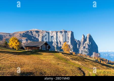 Traditional huts at Alpe di Siusi (Seiser Alm) in autumn with Sciliar peaks in background, Dolomites, South Tyrol, Italy, Europe Stock Photo